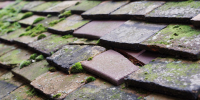 Longton roof repair costs